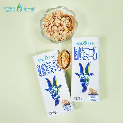 【草木羊】核桃燕麦羊奶儿童学生成人营养早餐奶250ml*6盒 商品图4
