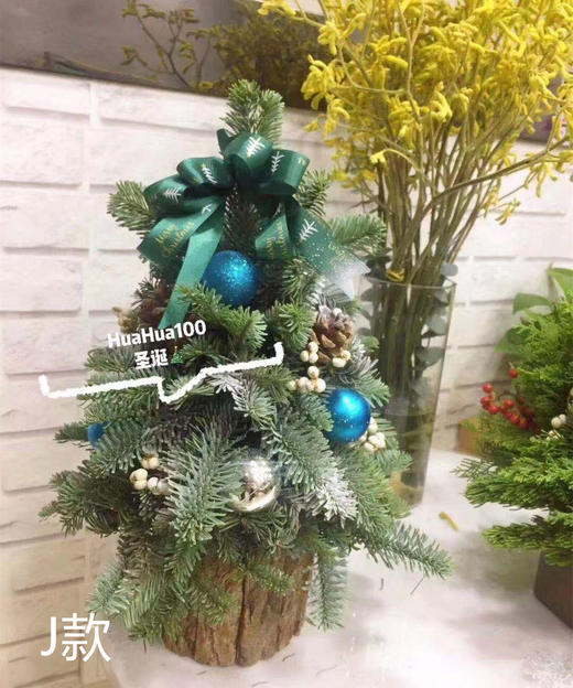 圣诞礼丨进口诺贝松圣诞树（两款入）团购只限上海 商品图1