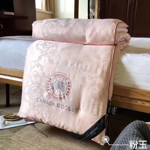 YLD-2801加拿大鹅蚕丝被 商品图0