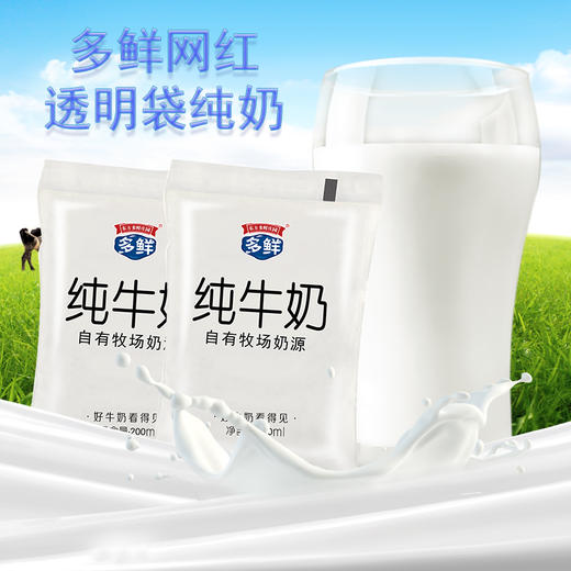 透明纯牛奶180ML*16袋 商品图0