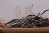 雨林古树茶春融生茶60克*2 商品缩略图4