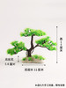 造景大师系列—唯美【宴会迎客松】 随手一放即可绽放唯美！ 商品缩略图3