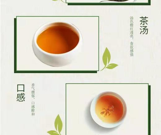 龙举云兴660g*2龙年生肖茯茶 商品图7