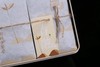 雨林古树茶春融生茶60克*2 商品缩略图2