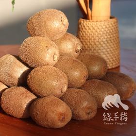 有机翠香奇异果 | 合作生产 *Organic kiwi | Coprodution