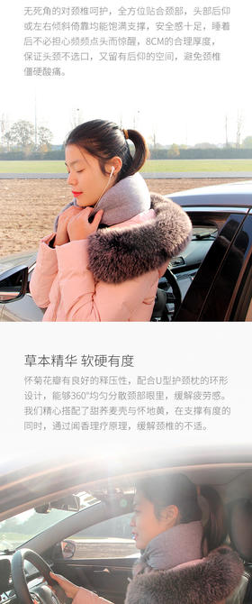  带上ta，归家旅途不再漫长 