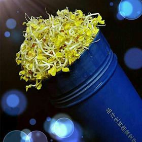 庞英老师教你用小蓝罐种植苜蓿苗（教程视频在最下方↓）