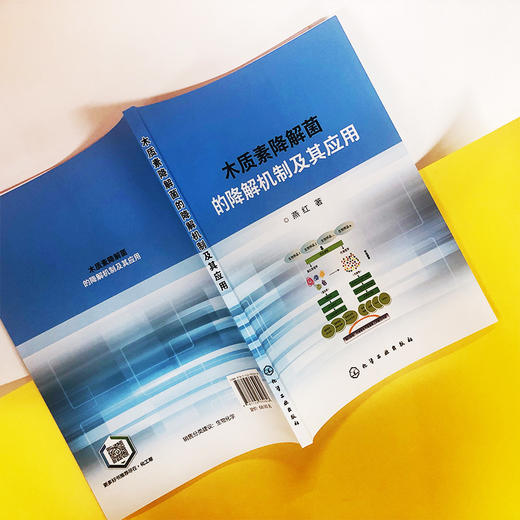 木质素降解菌的降解机制及其应用 商品图4