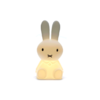 Animal lamp MIFFY 造型灯 商品缩略图0