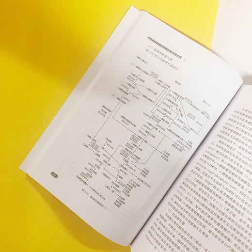 木质素降解菌的降解机制及其应用 商品图5