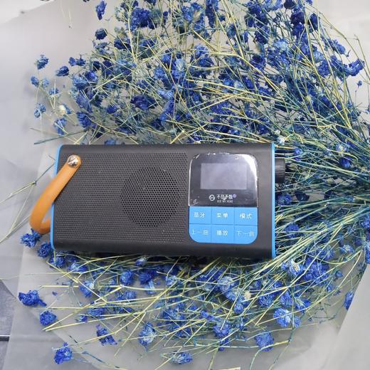 不见不散多功能便捷音箱LV5800 商品图0