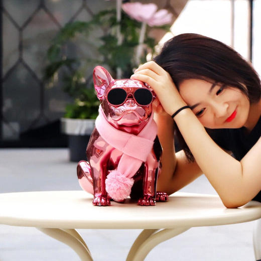 Jarre AeroBull XS 斗牛犬无线蓝牙音箱 全球限量版粉色一对 商品图3