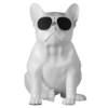 Jarre AeroBull HD 斗牛犬无线蓝牙音箱 商品缩略图1