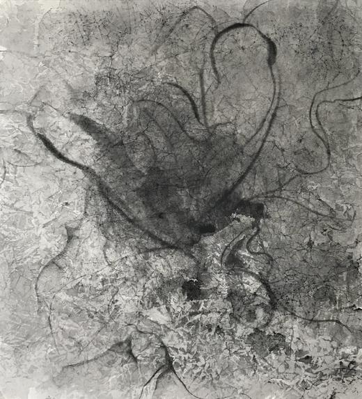 叶顺 | 山茶花4 商品图0