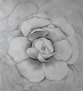 叶顺 | 山茶花12