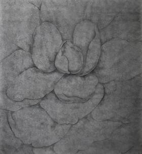 叶顺 | 山茶花14