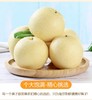 雪梨4斤左右 商品缩略图0