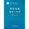 “淮河洪涝治理”系列专著(3分册) 商品缩略图1