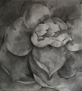 叶顺 | 山茶花15