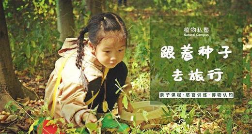 种子的旅行 商品图0