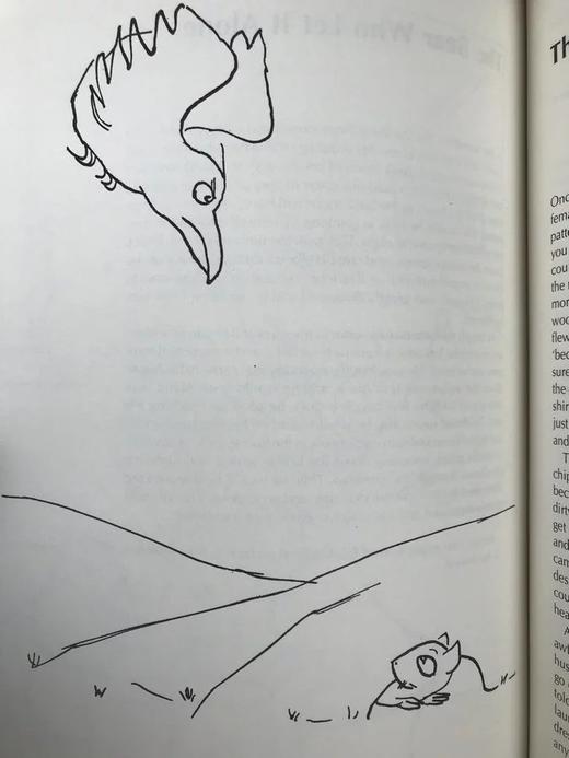 美国讽刺漫画作家詹姆斯·瑟伯自传 配趣味插图 精装18开带书匣 商品图12