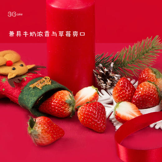 【圣诞季】森林雪国•牛奶草莓蛋糕，可选1.5/2.5磅（广州） 商品图3