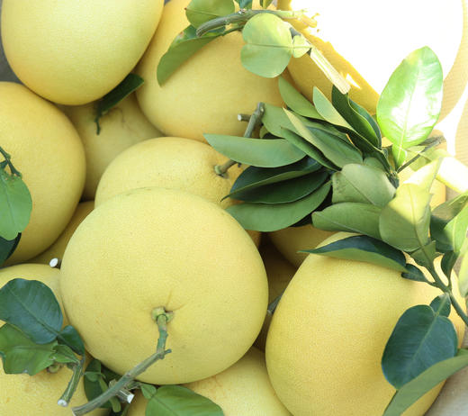 【原产地直发】个头大水分足  浙江名果玉环文旦4个装 商品图1