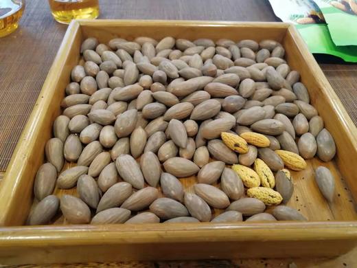 精品大籽香榧子礼盒装 新货 特级香榧子 2斤礼盒装 商品图2