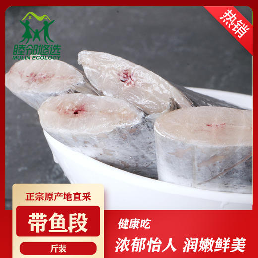 舟山野生带鱼中段两种规格可选 商品图1