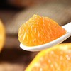 四川不知火丑橘（丑八怪）5斤大果/箱(75-85#) 商品缩略图2