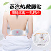 【腰腿疼痛|一贴轻松】蒸气热敷腰贴5小时恒温热敷 哪里疼痛贴哪里 舒缓部位寒凉酸痛通血化瘀 商品缩略图0
