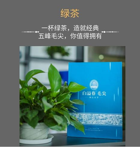 白溢春毛尖 御品贡芽 绿茶--240gx1盒*6/箱 商品图0