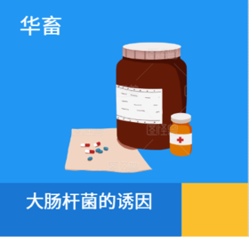 大肠杆菌的诱因：