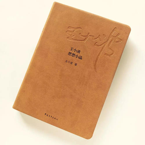 王小波思想小品 商品图1