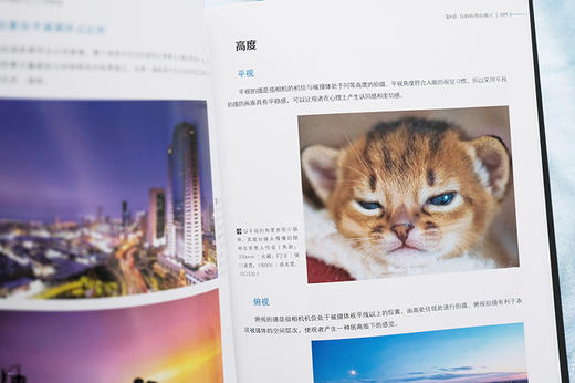 摄影构图、用光与色彩从入门到精通 商品图7