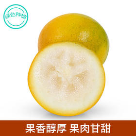 【好物推荐集锦】你要的全都有~