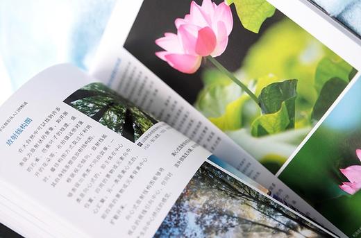 摄影构图、用光与色彩从入门到精通 商品图9