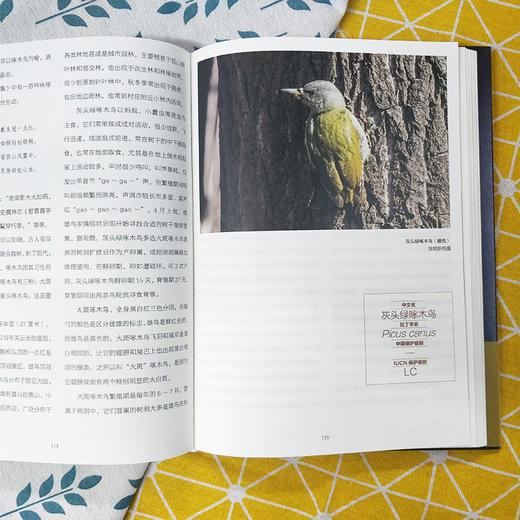 一鸟一世界：鸟国奇趣之旅 商品图2