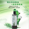 植树澳洲茶树洗发水——植物养头皮，对抗头皮屑 商品缩略图1
