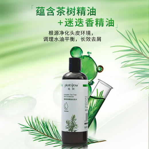 植树澳洲茶树洗发水——植物养头皮，对抗头皮屑 商品图1