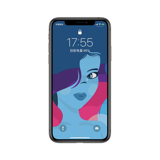 iPhoneX~iPhone11Pro Max 电池更换维修 商品图0
