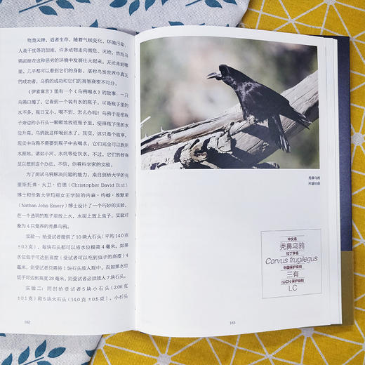 一鸟一世界：鸟国奇趣之旅 商品图5