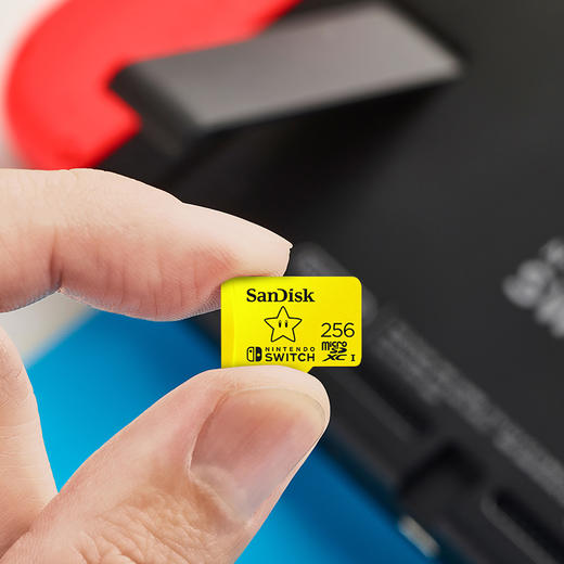 sandisk闪迪TF内存256g卡switch游戏内存卡通用micro sd存储卡 商品图2
