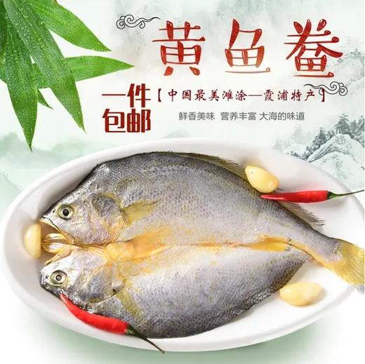 顺丰生鲜配送【有检测过的】福建 • 霞浦大黄鱼 【买8条送2条】海之原味 鱼嫩味鲜 味美甘醇 年年有鱼 烹饪简单 商品图1