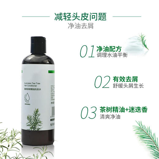 植树澳洲茶树洗发水——植物养头皮，对抗头皮屑 商品图2