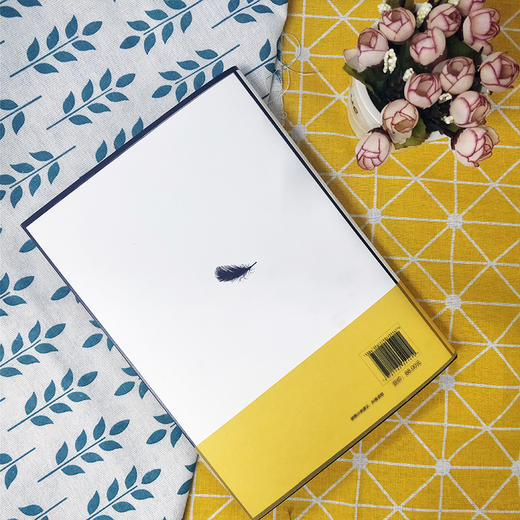 一鸟一世界：鸟国奇趣之旅 商品图1