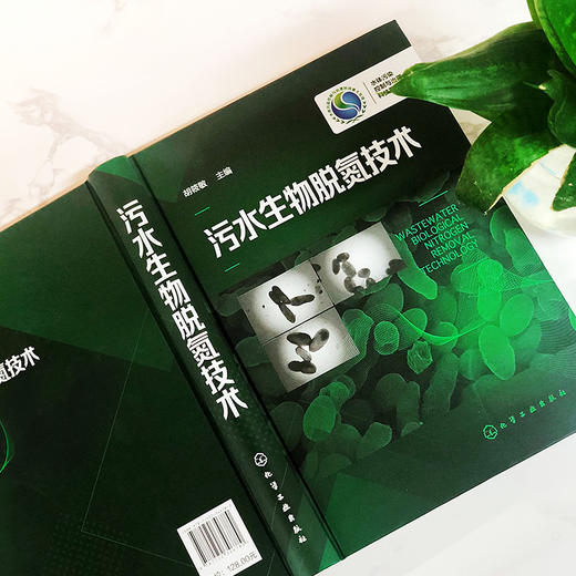 污水生物脱氮技术 商品图3