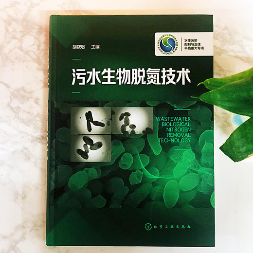 污水生物脱氮技术 商品图1