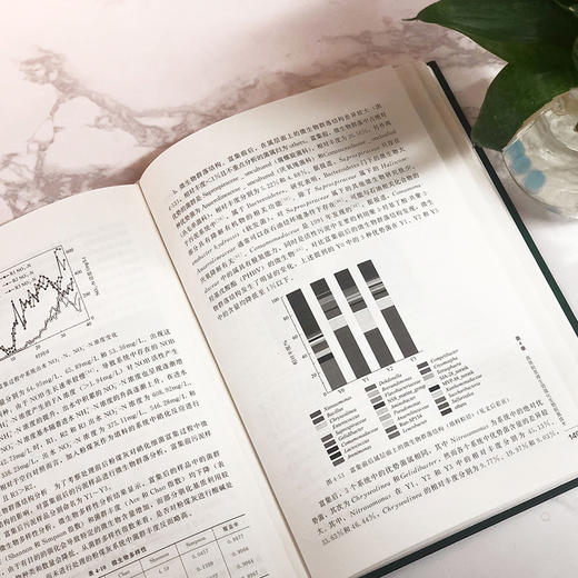 污水生物脱氮技术 商品图5