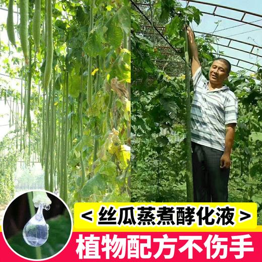 【重油污克星】巨型一号丝瓜除油剂 商品图0